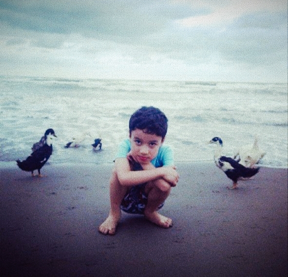 تصویر پروفایل مهدیار مرشد زاده تهرانی