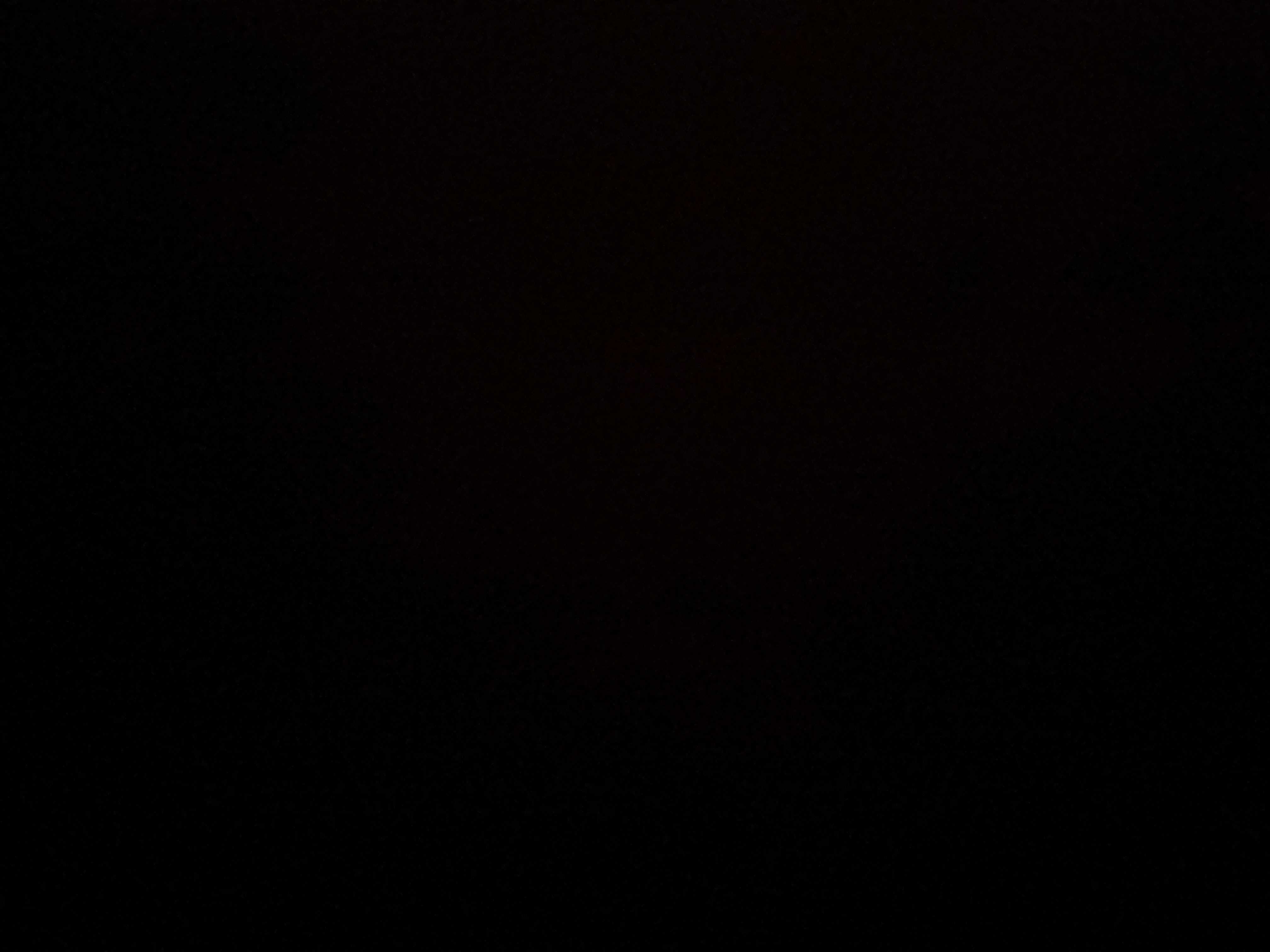 تصویر پروفایل عرشیا گرامی