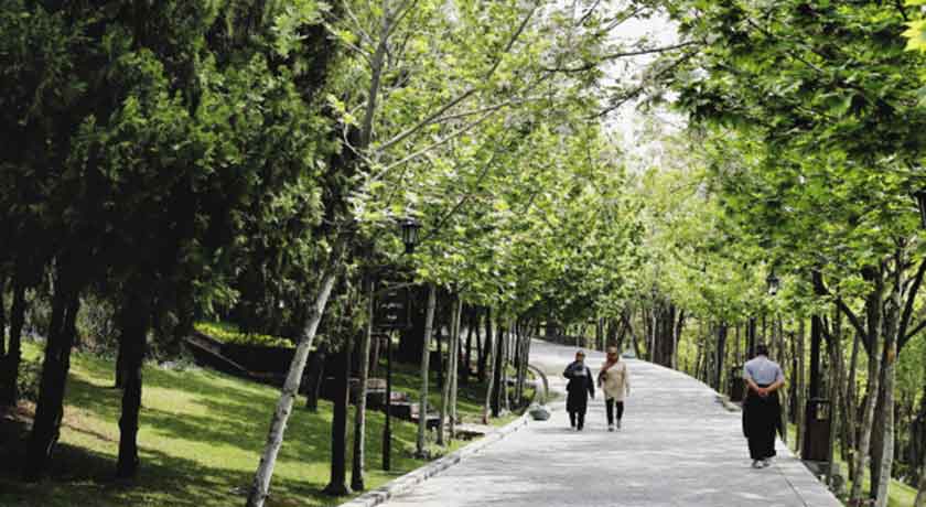 تصویر مجموعه ورزشی زمین چمن باغ‌ راه فدک - نمای دوم