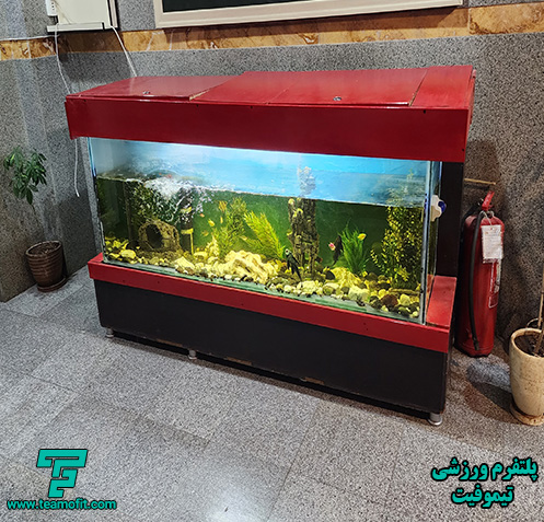 تصویر مجموعه ورزشی مجموعه ورزشی نیکان - نمای پنجم
